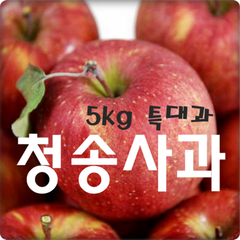 [2023년 '햇'사과] 싱싱한 산지의 맛 그대로~ 부사사과, 1박스, 가정용 사과 5kg 특대과