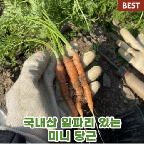 국산 국내산 잎파리 있는 미니 당근 250g 1kg 촬영용 베이비 손가락 꼬마 작은 아기 캐롯 캐롯 데코 데코레이션 고급 야채 채소, 1개