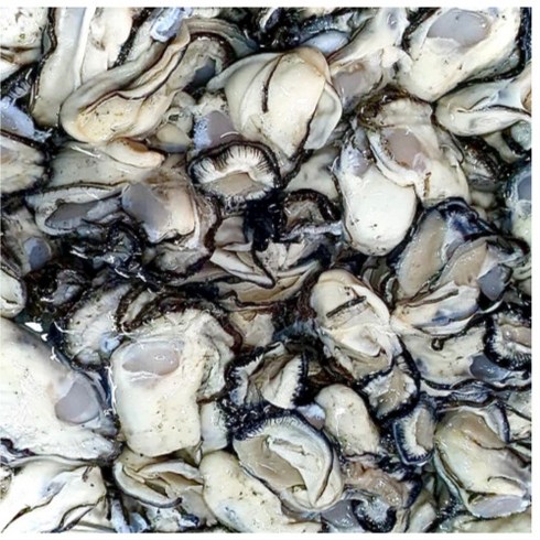 통영 생굴 1키로 2키로 1kg 2kg 3kg (삼봉수산), 1박스