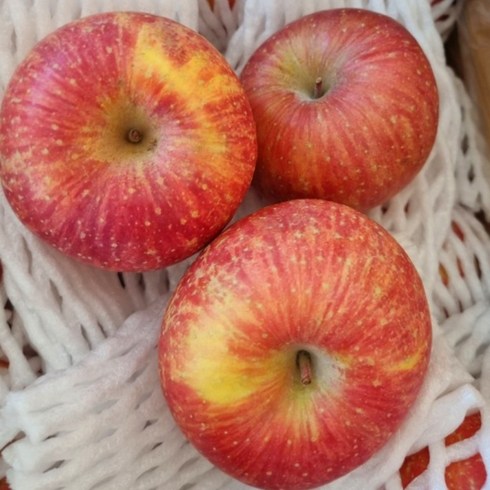 [산지직송] 식감좋은 밀양 얼음골사과 10kg 꿀부사 부사 apple 10kg, 1개, 부사사과 58과