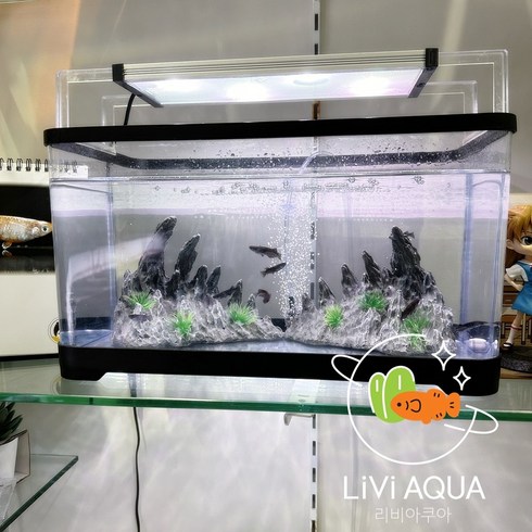 안깨지는어항 - 리비아쿠아 안깨지는 신소재 어항 거북이 열대어 수족관, 블랙, 1개