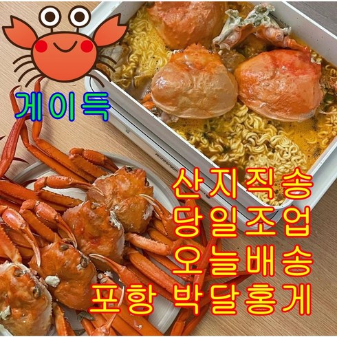 박달홍게 - [산지직송] 국내산 포항 게이득 박달홍게 3kg 홍게라면 꽃게탕 육수용, 육수용(50~60%), 7미 (2.5kg), 1개