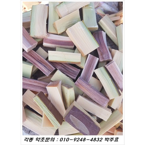 노각나무 건재( 문의 : 010-9248-4832), 100, 1개, 1000g