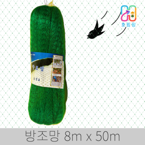 새망 TOP01