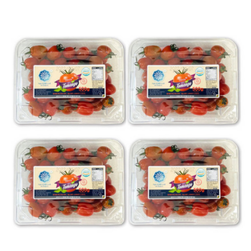 생생스토리 스테비아 대추방울토마토 대추토망고 500gX4팩, 500g, 4개