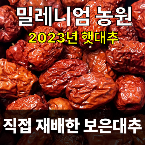 2023/보은대추/밀레니엄 농원/대추/건대추(1kg), 1kg/건22mm, 1개