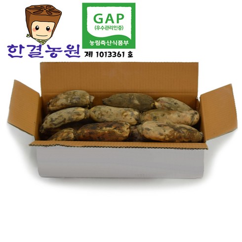 한결농원 gap인증 당일수확 연근(햇) 1kg 2kg 3kg 5kg 10kg 15kg 직접재배 산지직송, 1개, 햇연근 5kg