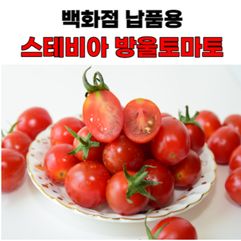 2023년 가성비 최고 스테비아방울토마토 - 스테비아 토망고 방울토마토 맛집 핵꿀맛 산지직송 500g, 4팩