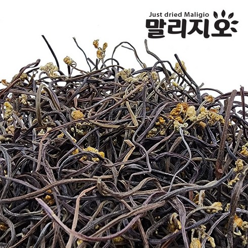 태국고사리 - 말리지오 고사리 보통 상급, 1개, 500g(보통)