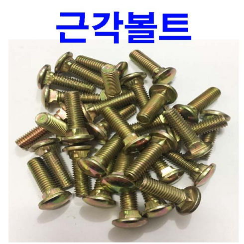 근각볼트 샹크볼트 앵글볼트 미리볼트 M8~M12, 5개