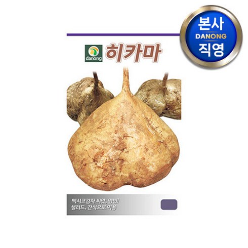 브랜드없음 히카마 (얌빈) 씨앗 500g . 야채 채소 텃밭 멕시코 맥시코 감자 씨 종자, 단품없음