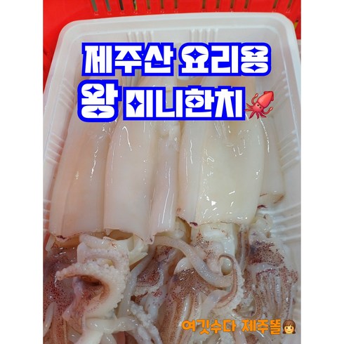 자연산 손질 한치 100미 - 제주산 왕미니한치(요리용)500g(5-10미내외), 4개