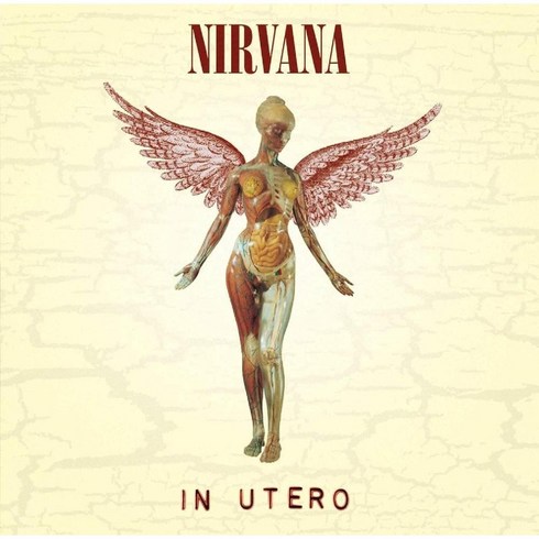 너바나 LP NIRVANA IN UTERO 바이닐 앨범, 기본