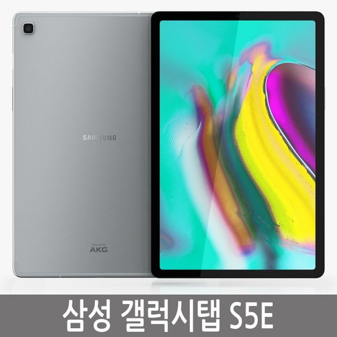 삼성전자 갤럭시탭 S5E RAM 4GB, 그레이, 64GB, Wi-Fi