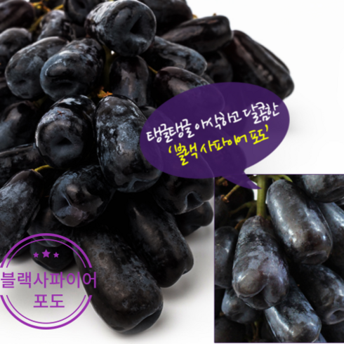 항공직송 최상급 프리미엄 고당도 블랙사파이어 가지포도, 1박스, 4kg