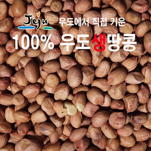 [우도생땅콩] 24년 껍질째 먹는 100%우도산 생땅콩도 300g (2팩/3팩), 300g*2팩, 1박스