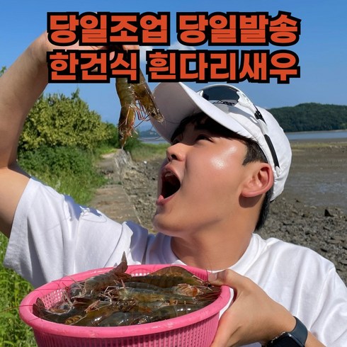 생새우회 - 산지직송 흰다리새우 활새우 생물 새우, 1개, 500g