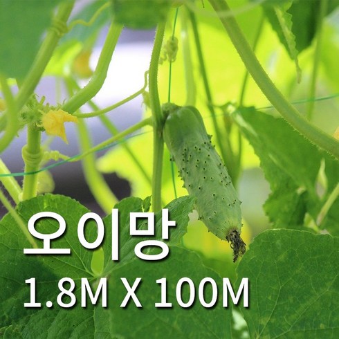 식물의집 오이망 오이그물망 1.8m X 100m, 1개