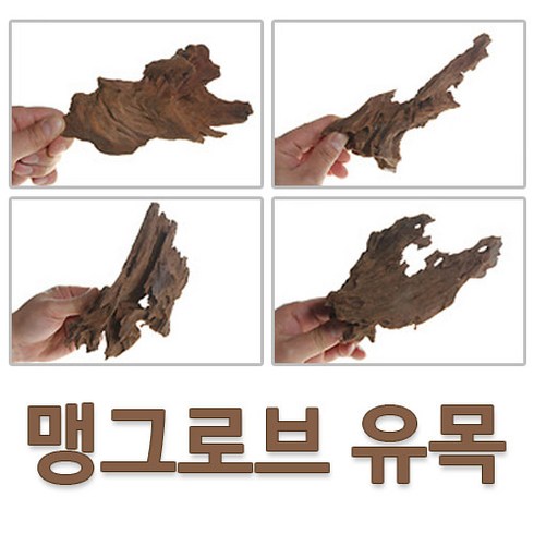 맹그로브 유목 '대' 3개 세트 (22~30CM)