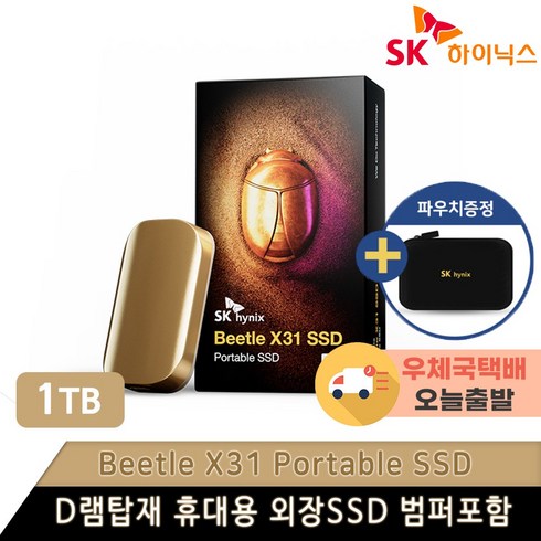 외장ssd - SK하이닉스 Beetle X31 DRAM 탑재 외장 SSD + 전용 케이스, SKHPU3-001T, 1024GB