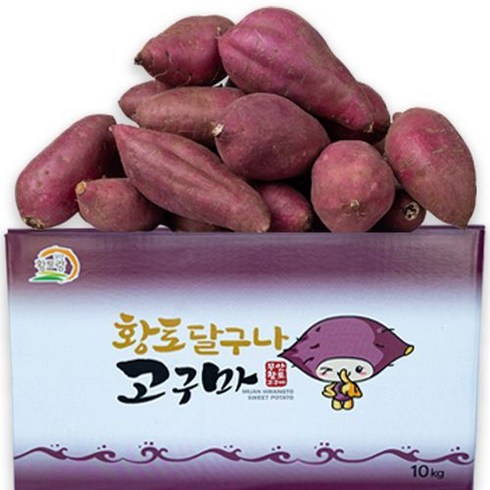 고구마 TOP01
