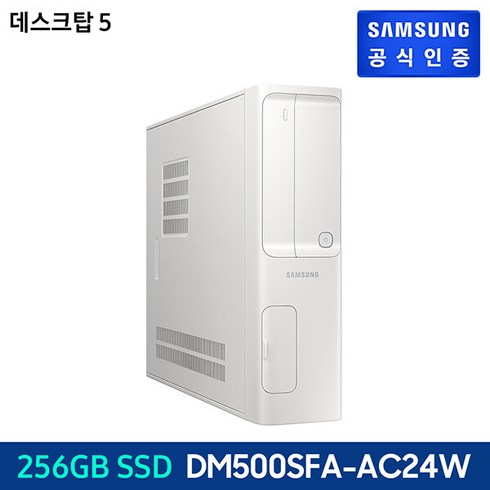 삼성 데스크탑 Slim Pentium Gold / 256 GB NVMe SSD DM500SFA-AC24W