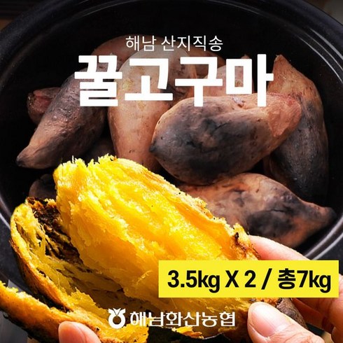 해남고구마 화산농협 해남 황토 꿀고구마 총 7kg(3.5kg+3.5kg), 단일옵션