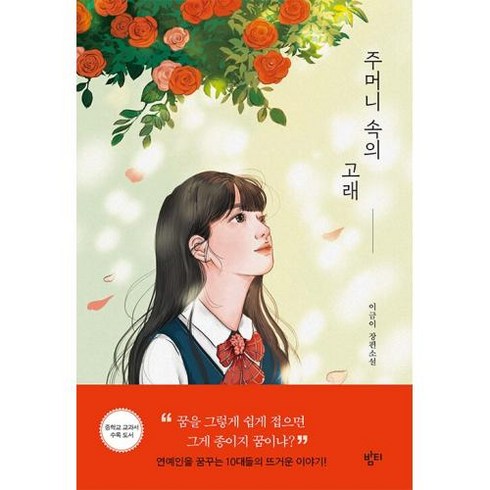 [밤티]주머니 속의 고래 (이금이 장편소설), 밤티, 이금이