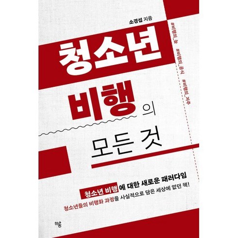 청소년비행의모든것 - 청소년 비행의 모든 것, 하움출판사, 소경섭 저