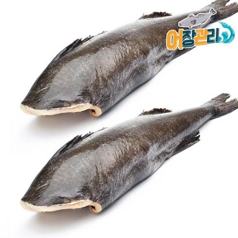 기안도대구예매 - [어장관리] 은대구 2kg 전후 원물 업소용, 1개, 은대구 1마리 (2kg전후)
