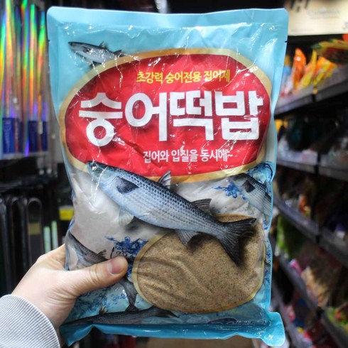 숭어낚시 TOP01