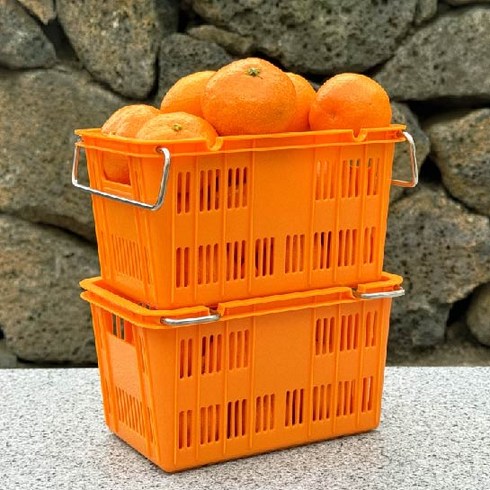 [로드제주] 아기 콘테나 귤 박스 미니 플라스틱 컨테이너 박스 과일상자, 1000개