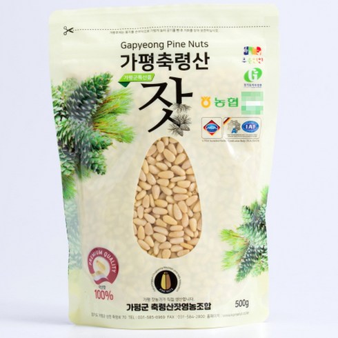 특등급 가평잣  500g - 가평군농협 무농약 국산 가평잣 2023년 햇잣 황잣 백잣 봉지 지퍼 500g, 1개