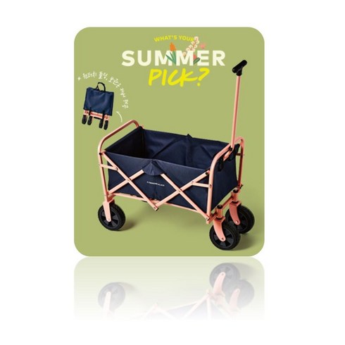 2023년 가성비 최고 투썸아이스박스 - 투썸 플레이스 21 MD 접이식 피크닉 미니웨건 워터저그 아이스박스 물통 캠핑 차박, 투썸 플레이스 미니웨건, 1개