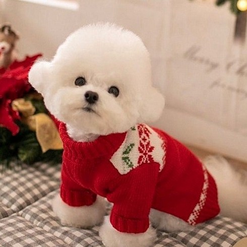 큐앤캐롯 귀여운 강아지 크리스마스 노르딕 니트, 레드색