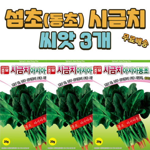 시금치씨앗 - 월동 섬초시금치 씨앗 (20g) 3개 동초 시금치 겨울 재래종 종자 씨