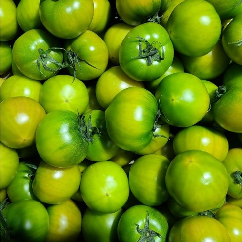 특품토마토 - 대저농협 인증 대저 짭짤이 토마토 특품 2.5kg, 대저 특품 토마토(M) 2.5kg, 1박스