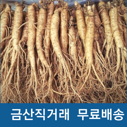 금산인삼 삼계탕 1.2kg x 8팩  - 금산 수삼 인삼 작은 실삼계 삼계탕용 가정용인삼, 1세트, 실속형350g(50-60뿌리)뿌리)