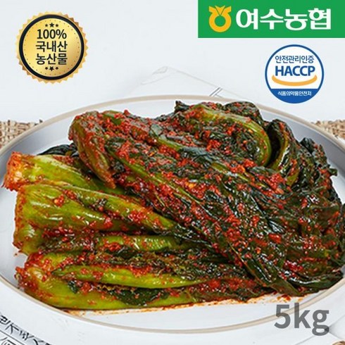 돌산갓 김치 5kg - 여수농협 여수돌산 갓김치, 5kg, 1개