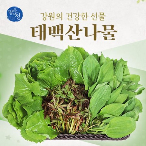 농협산나물세트 2024 태백농협 산나물세트(산마늘200g*3팩 + 곰취200g*3팩+소스600ml*2봉), 1