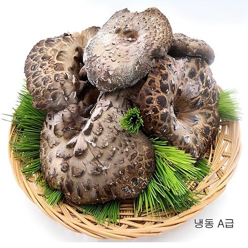 능이버섯 - (청림송이 능이) 자연산 능이버섯/냉동(특품), 냉동능이/A급/1kg, 1개