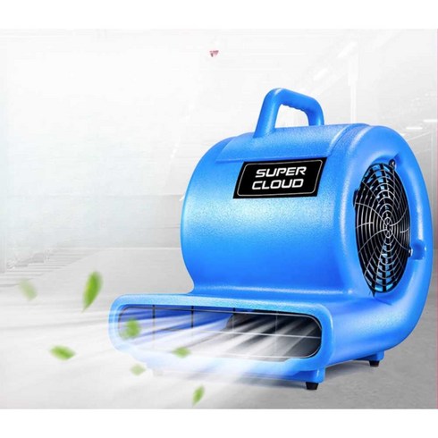 카펫건조기 블로잉 배풍기 화장실 바닥 습기제거기, A. 1000W 일반 모델 (제습)