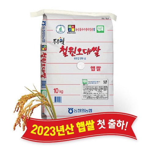 [당일도정] [동철원농협 직접운영] 2023년산 두루웰 철원오대쌀, 10kg, 1개