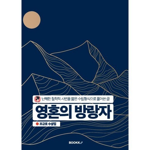 영혼의 방랑자, BOOKK(부크크), 조규호 저