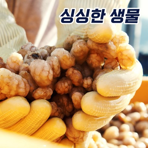 국내산 싱싱한 생물 오만둥이, 1팩, 1kg