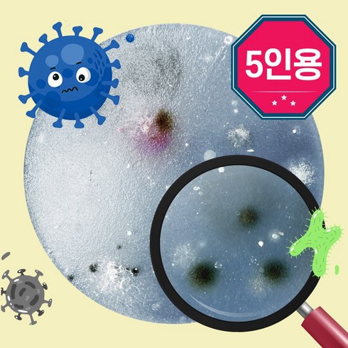 세균배양키트 - 세균배양 실험키트 5인용 배지 만들기 과학 손세균검사