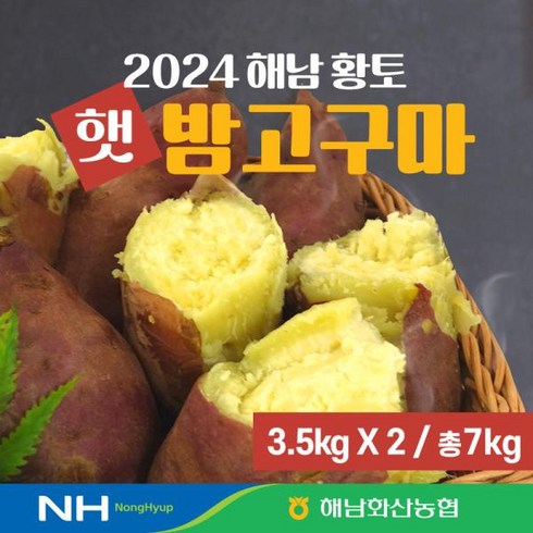 다모 해남 밤 고구마 3.5kg3.5kg - 농협 화산농협 해남 황토 밤고구마 7kg (3.5kg*2박스) _특등급, 1