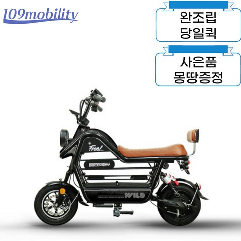 [완조립퀵] 레이윙 디스커버리 와일드 S20 48V 500W 유아/애견탑승 전동스쿠터, 12Ah, 블랙