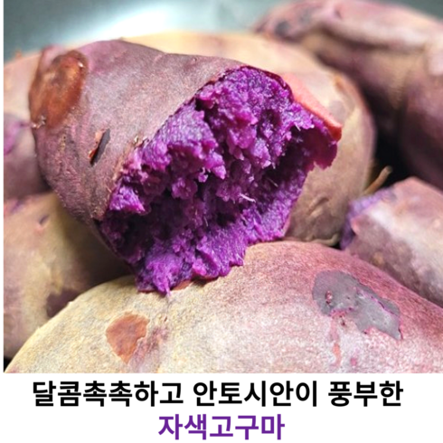 국내산 자색고구마 3kg 5kg 국산 안토시안이 풍부한 자색고구마 중 특상 사이즈 촉촉하고 부드러운 자색고구마, 1개