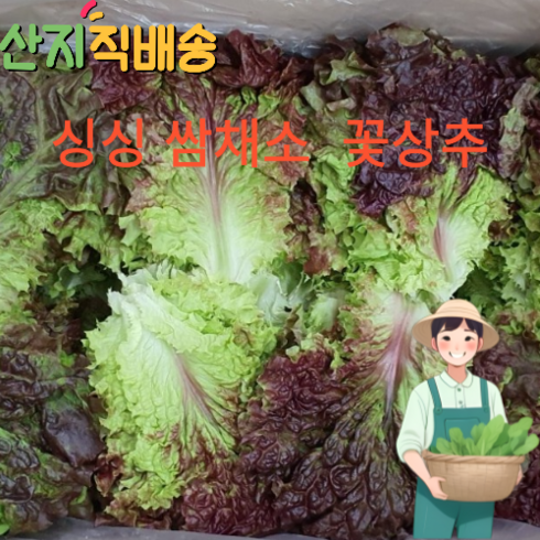 꽃상추 - *산지직송* 당일수확 꽃상추 1kg 2kg 4kg 쌈채소 고기쌈 잎채소 상추 가정용 업소용, 1개